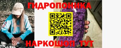 индика Ликино-Дулёво