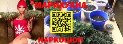 гашик Ливны