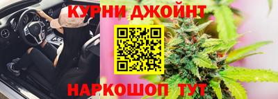 гашик Ливны