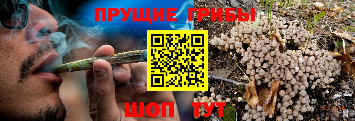 Североморск  Галлюциногенные грибы GOLDEN TEACHER  Вход с VPN 